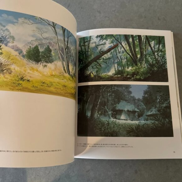 Studio Ghibli Rare Art Book Lot Miyazaki Nausicaa Boy Heron Storyboard Collector - Picture 2 of 7